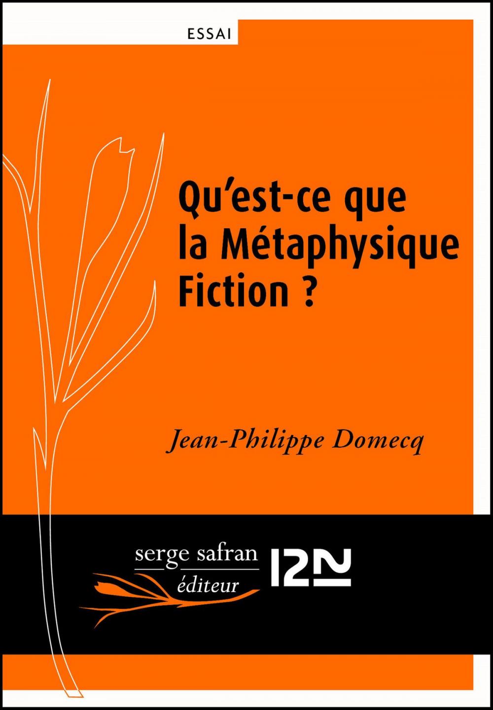 Big bigCover of Qu'est-ce que la métaphysique fiction ?