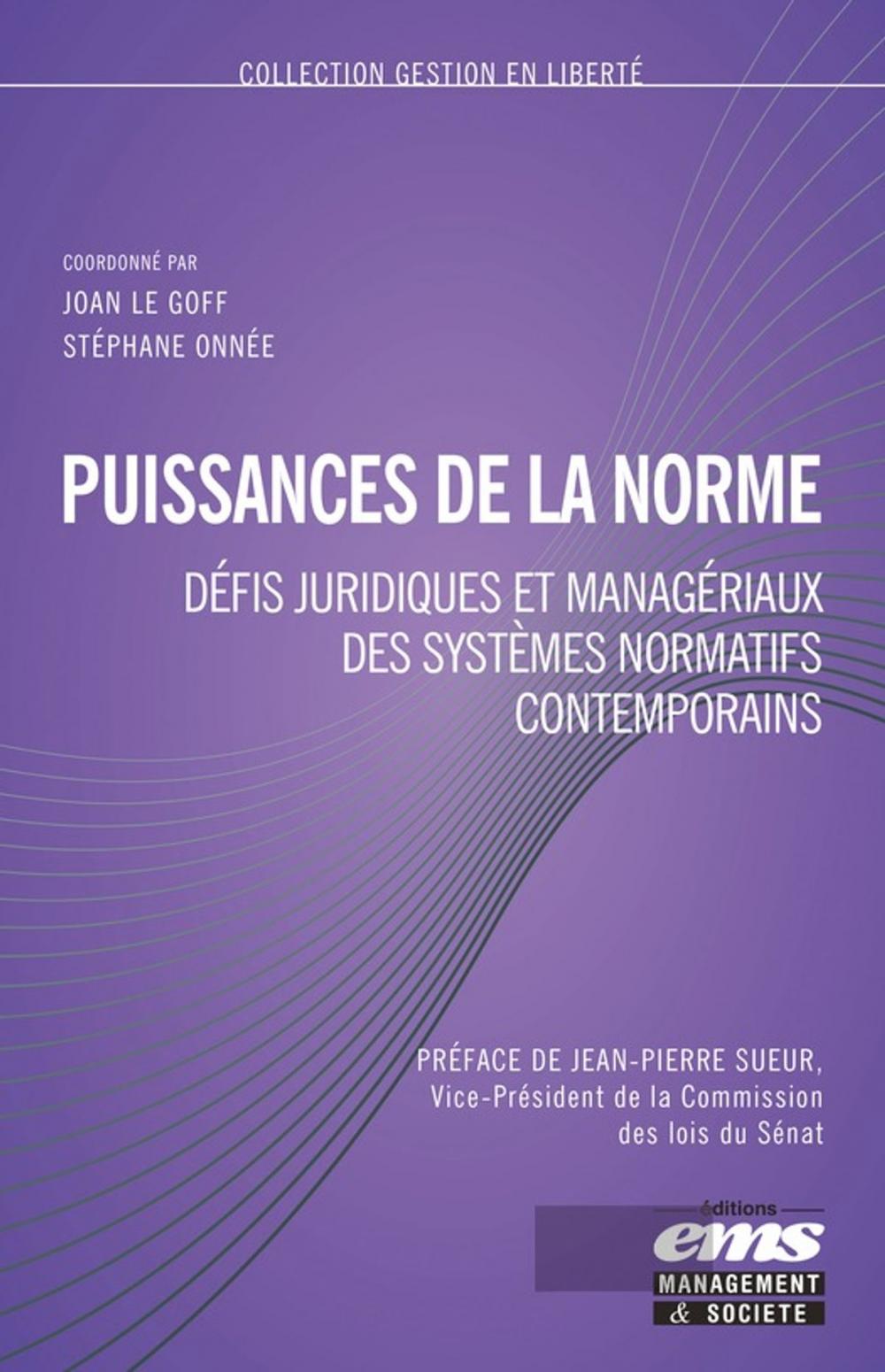 Big bigCover of Puissance de la norme