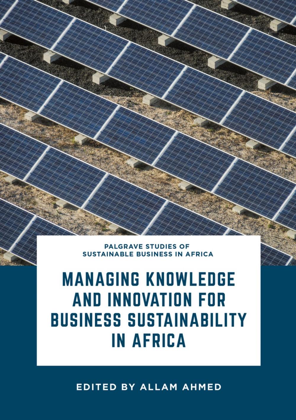 Big bigCover of Managing Knowledge and Innovation for Business Sustainability in Africa