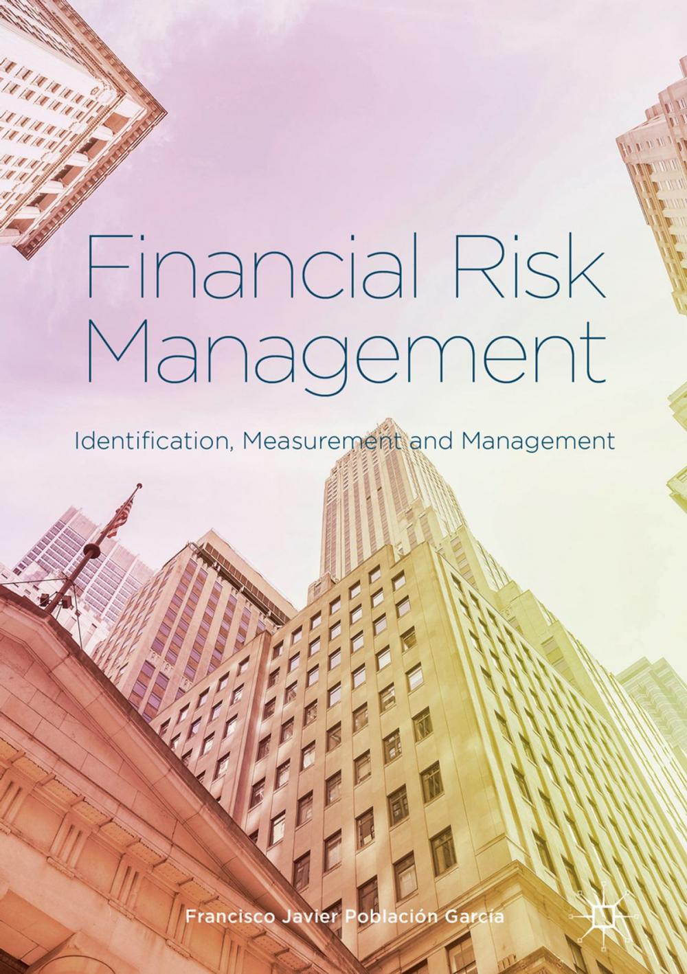 Big bigCover of Financial Risk Management