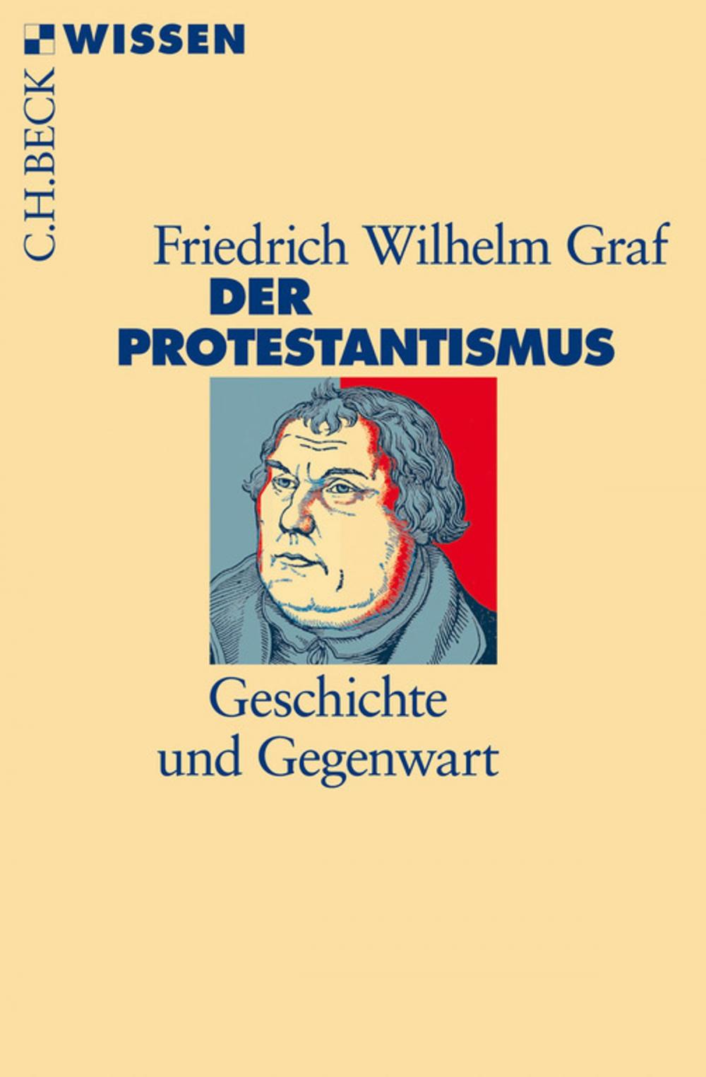 Big bigCover of Der Protestantismus