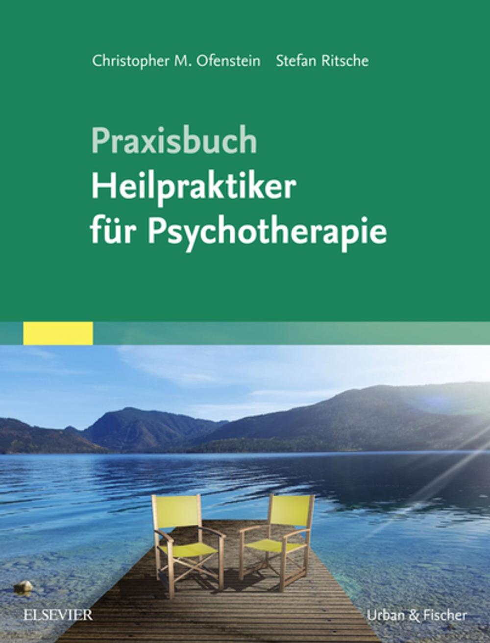 Big bigCover of PraxisbuchHeilpraktiker für Psychotherapie