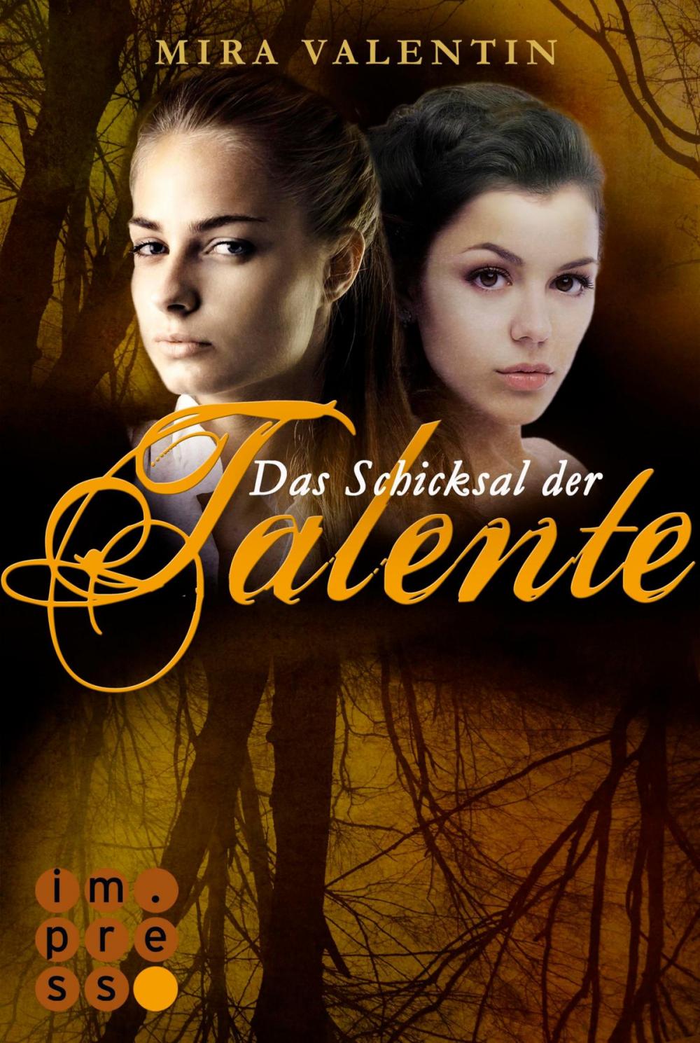 Big bigCover of Das Schicksal der Talente - Prequel (Die Talente-Reihe )