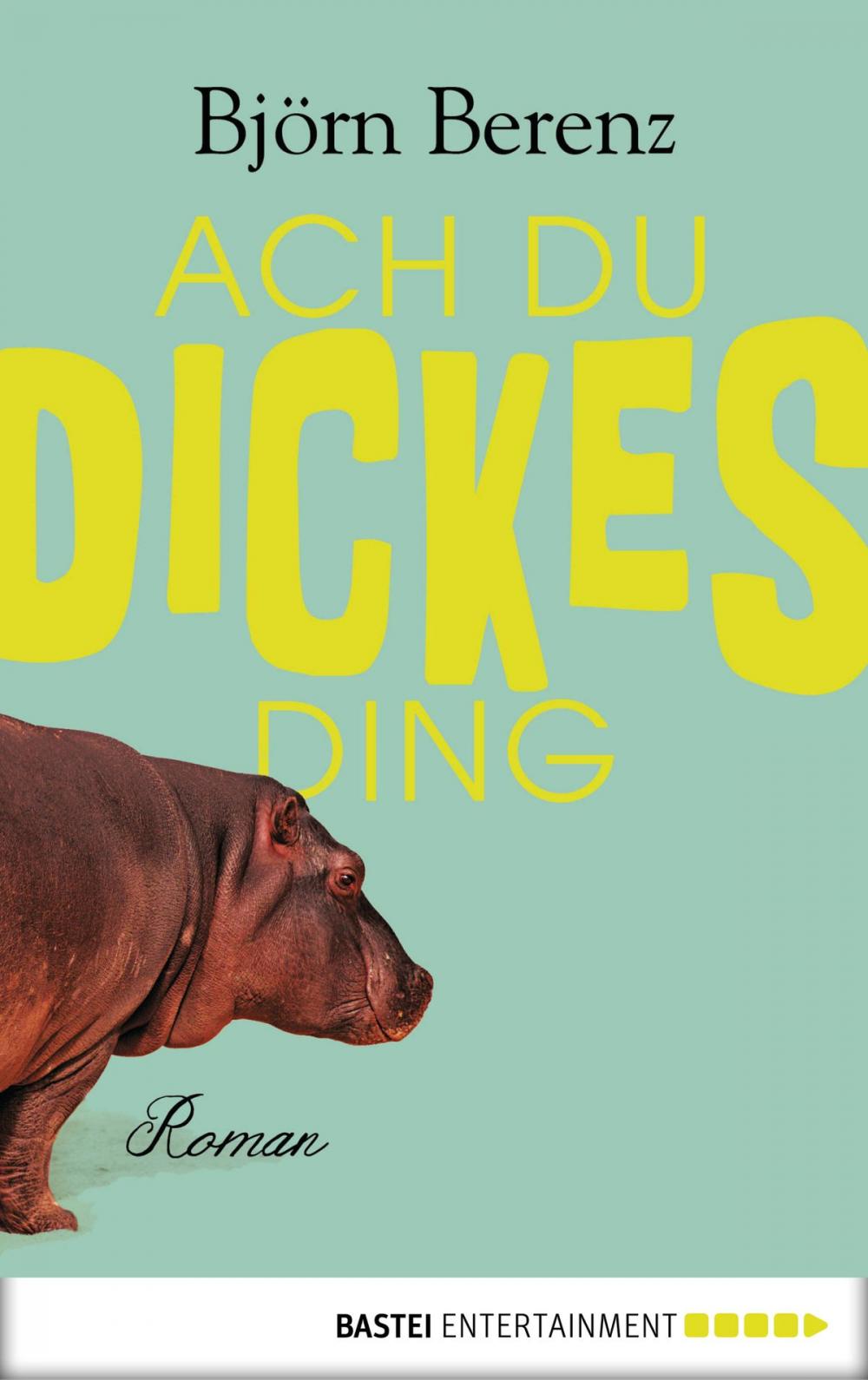 Big bigCover of Ach du dickes Ding