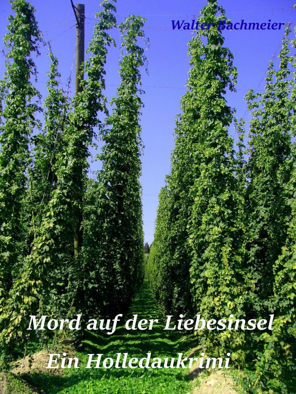 Big bigCover of Mord auf der Liebesinsel