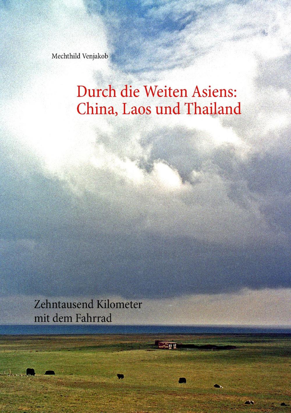 Big bigCover of Durch die Weiten Asiens