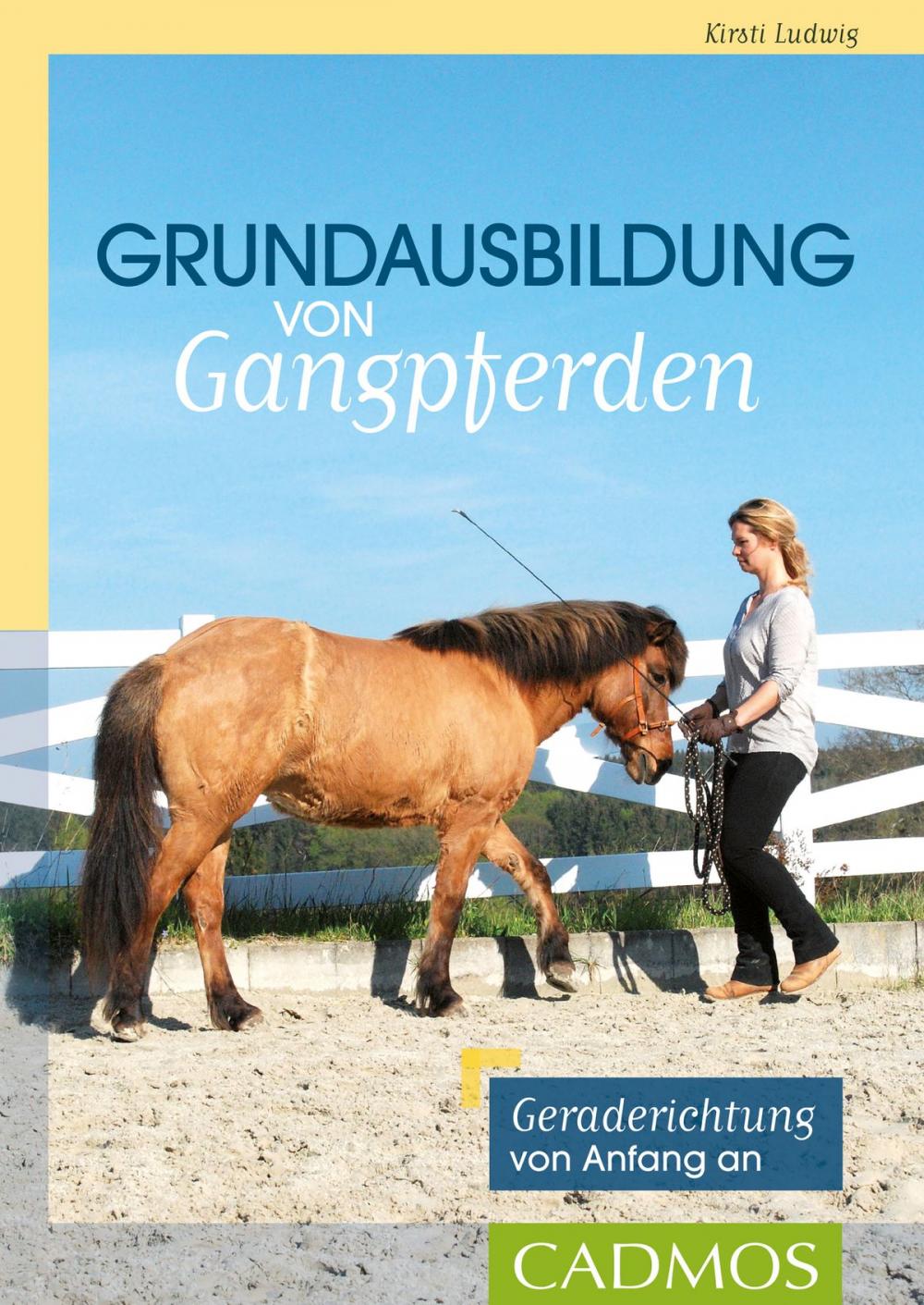 Big bigCover of Grundausbildung von Gangpferden