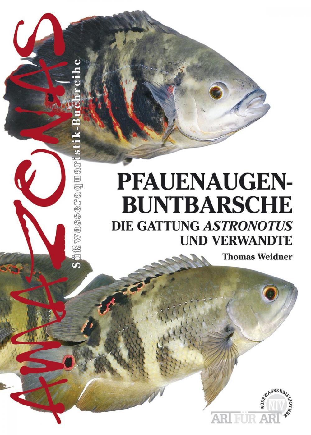 Big bigCover of Pfauenaugenbuntbarsche