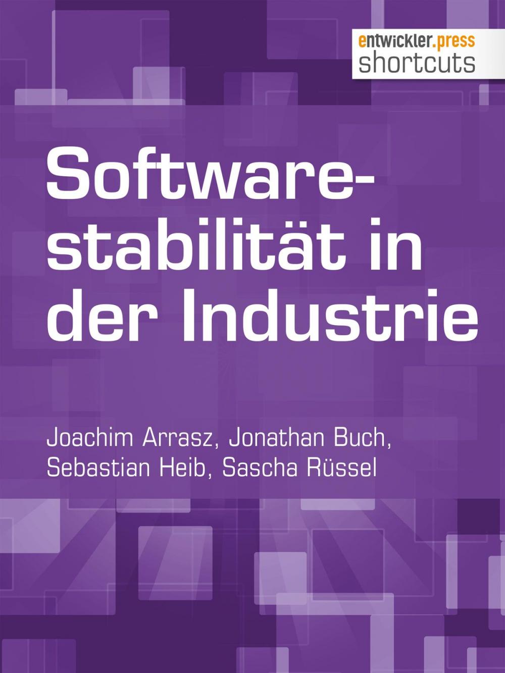 Big bigCover of Softwarestabilität in der Industrie