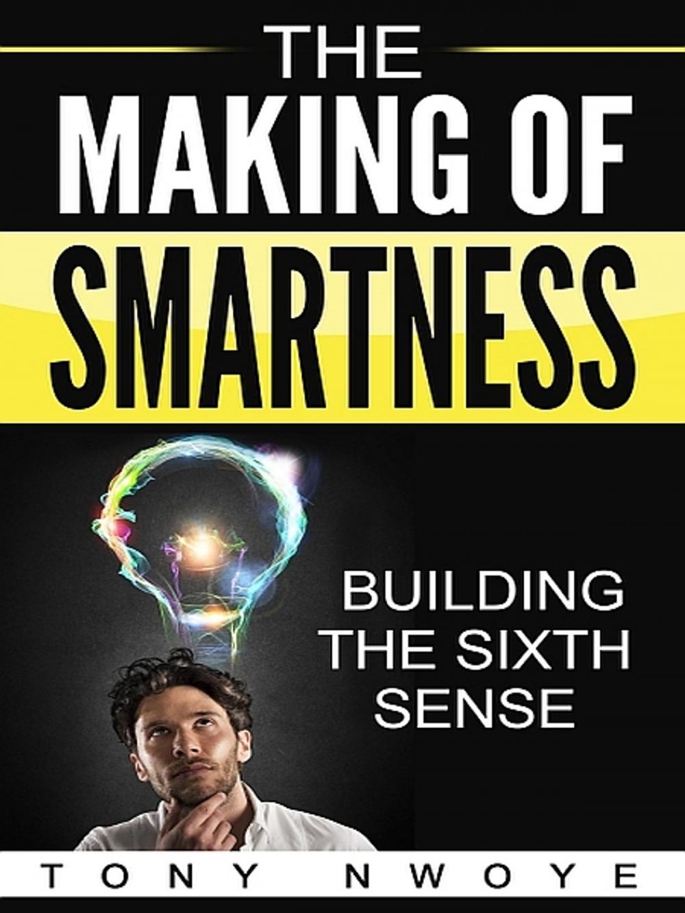 Big bigCover of The Making Of Smartness