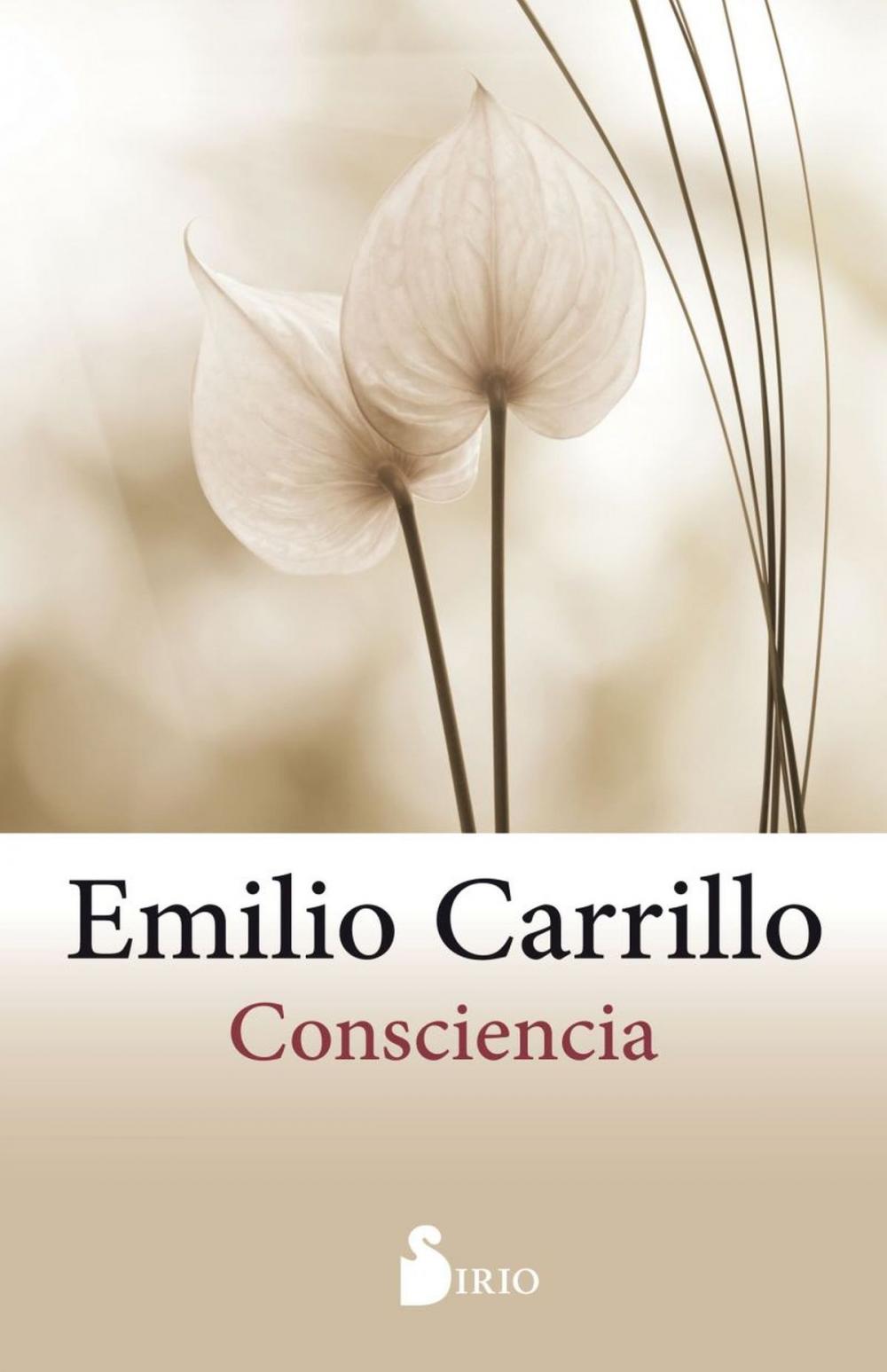 Big bigCover of Consciencia