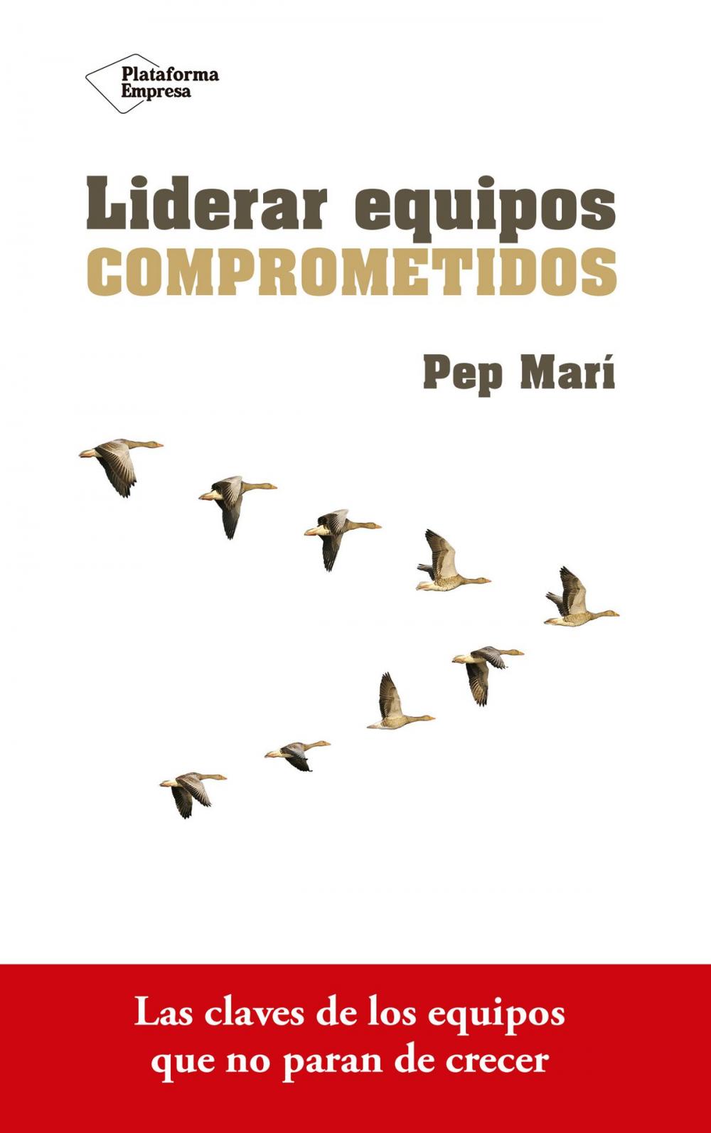 Big bigCover of Liderar equipos comprometidos