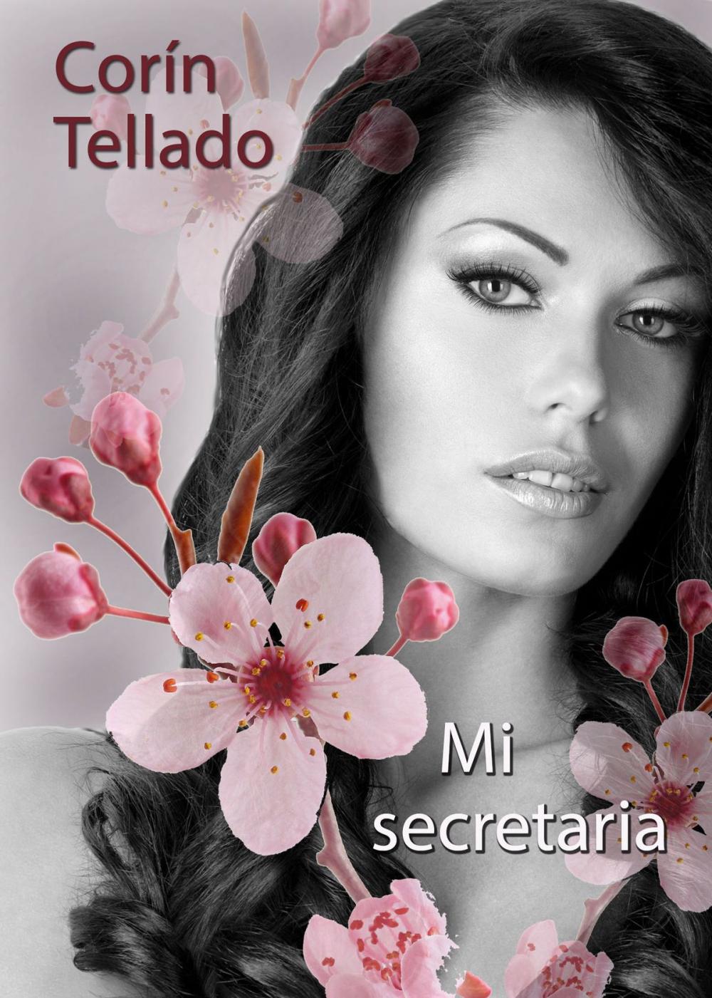 Big bigCover of Mi secretaria