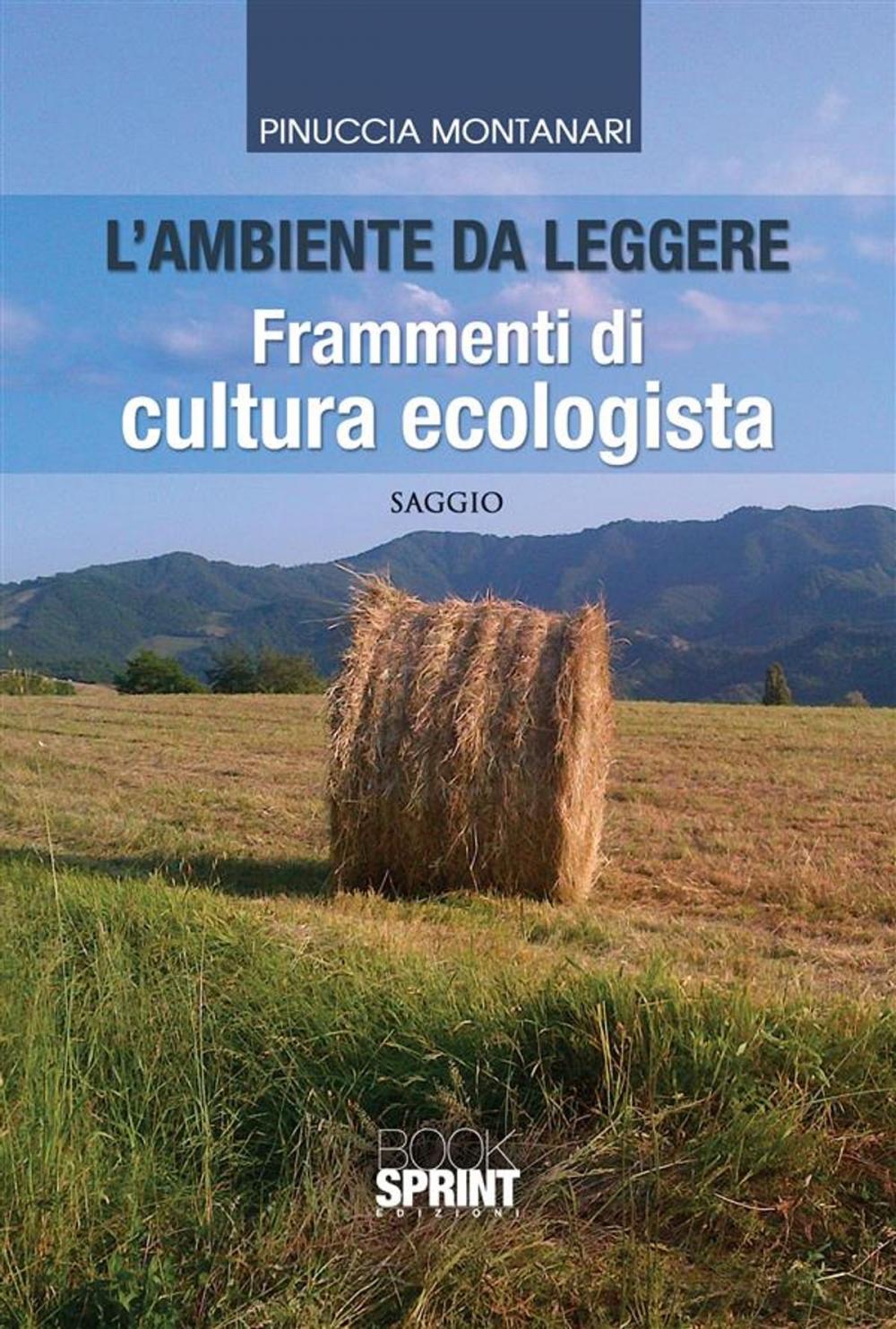 Big bigCover of L'ambiente da leggere