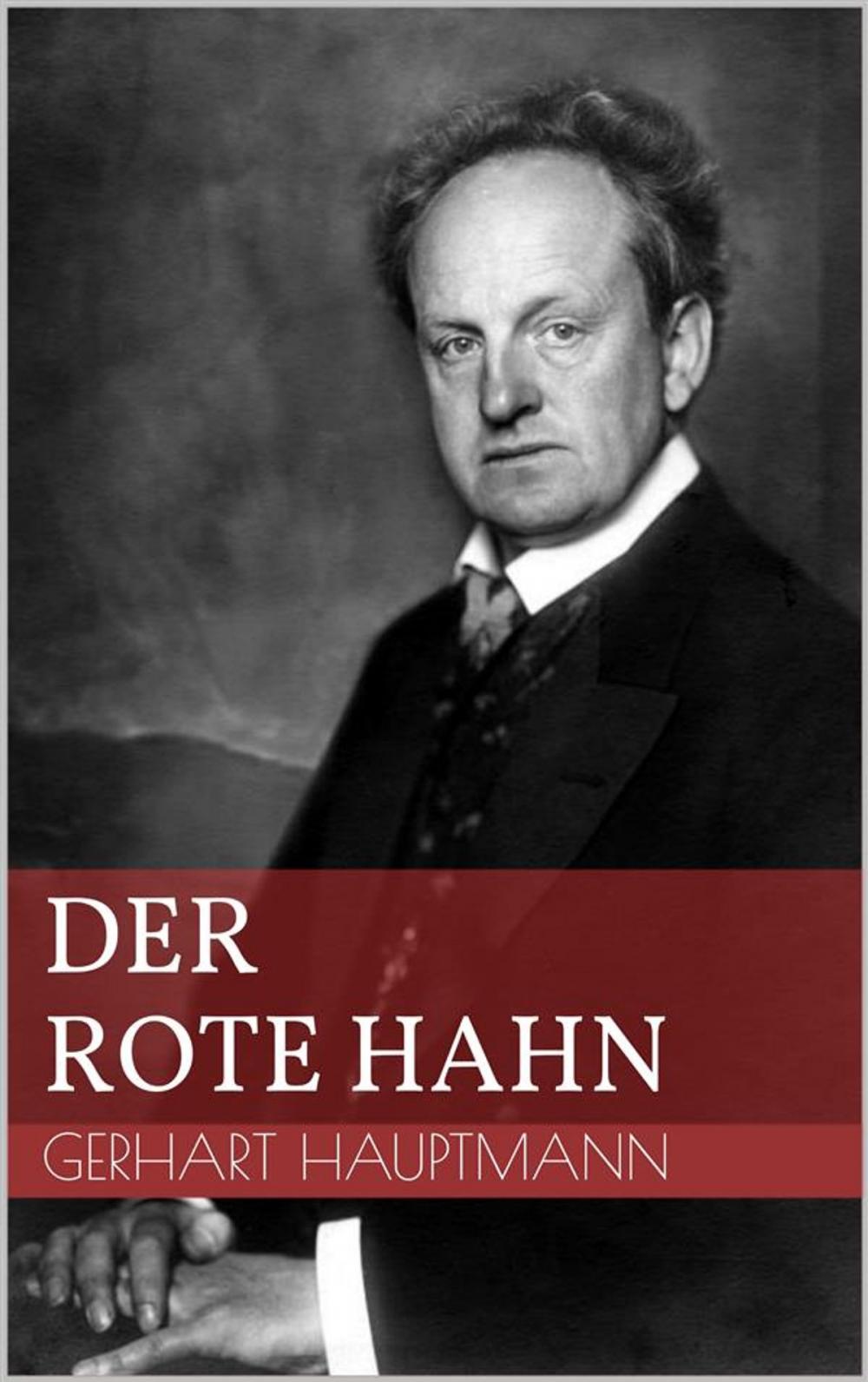 Big bigCover of Der rote Hahn