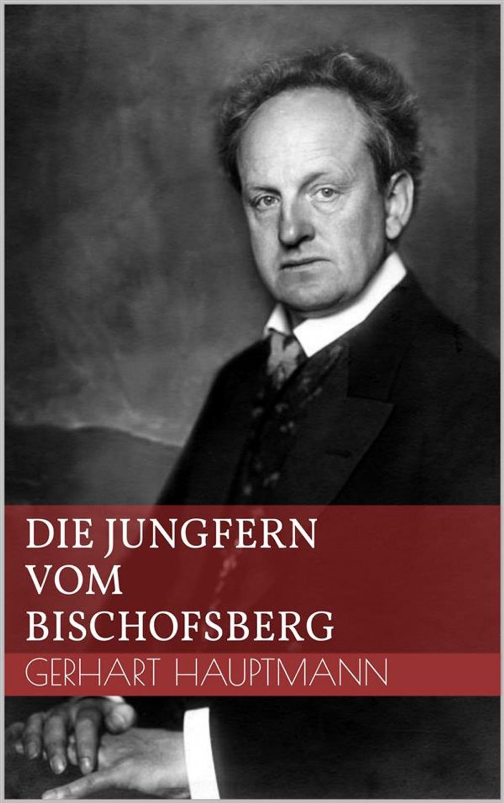 Big bigCover of Die Jungfern vom Bischofsberg