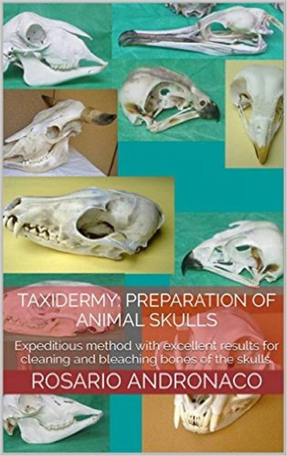 Big bigCover of Taxidermy: Preparation Skulls Of Animals - Concepts and techniques for proper preservation of the skeletons