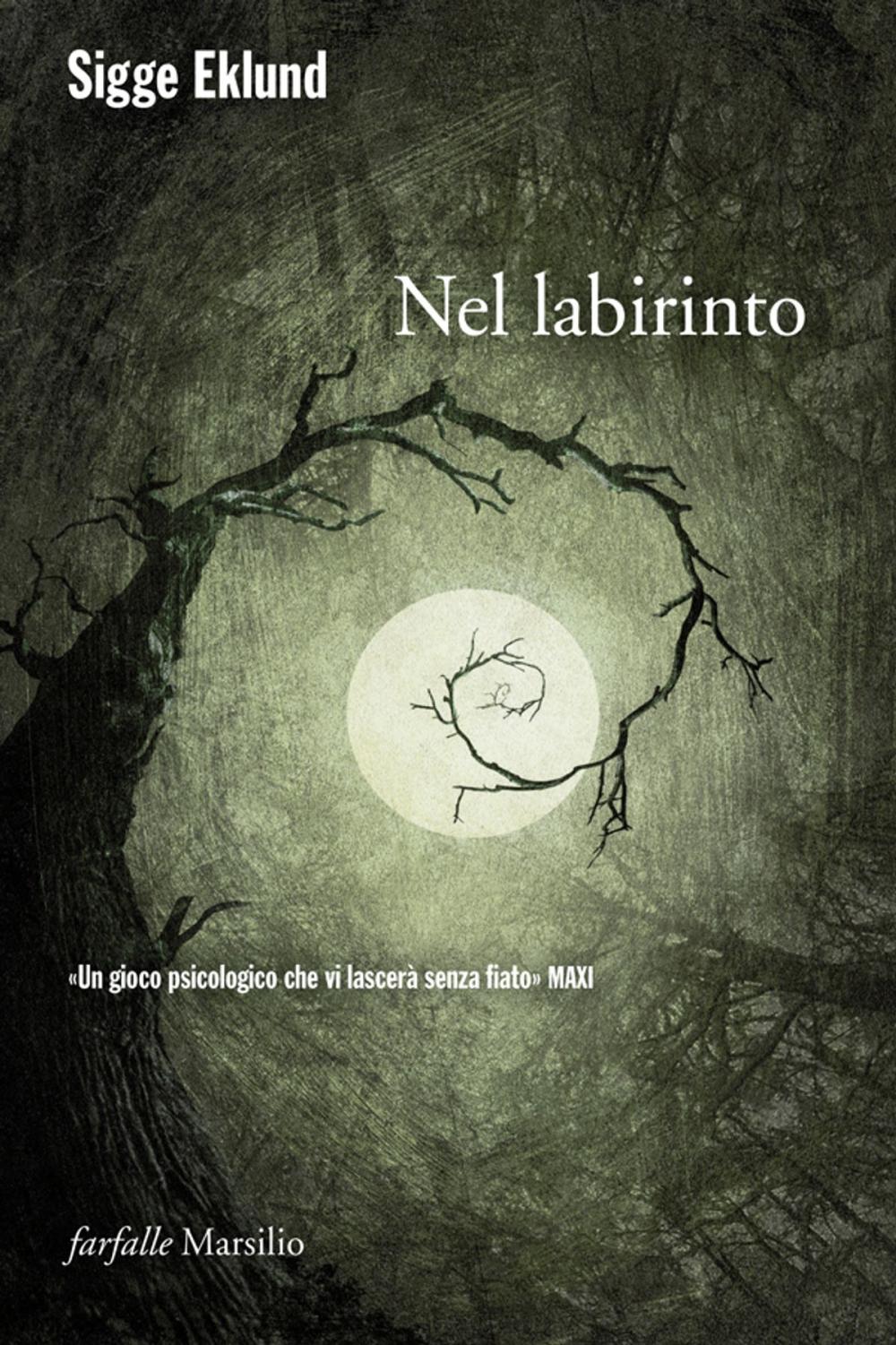 Big bigCover of Nel labirinto