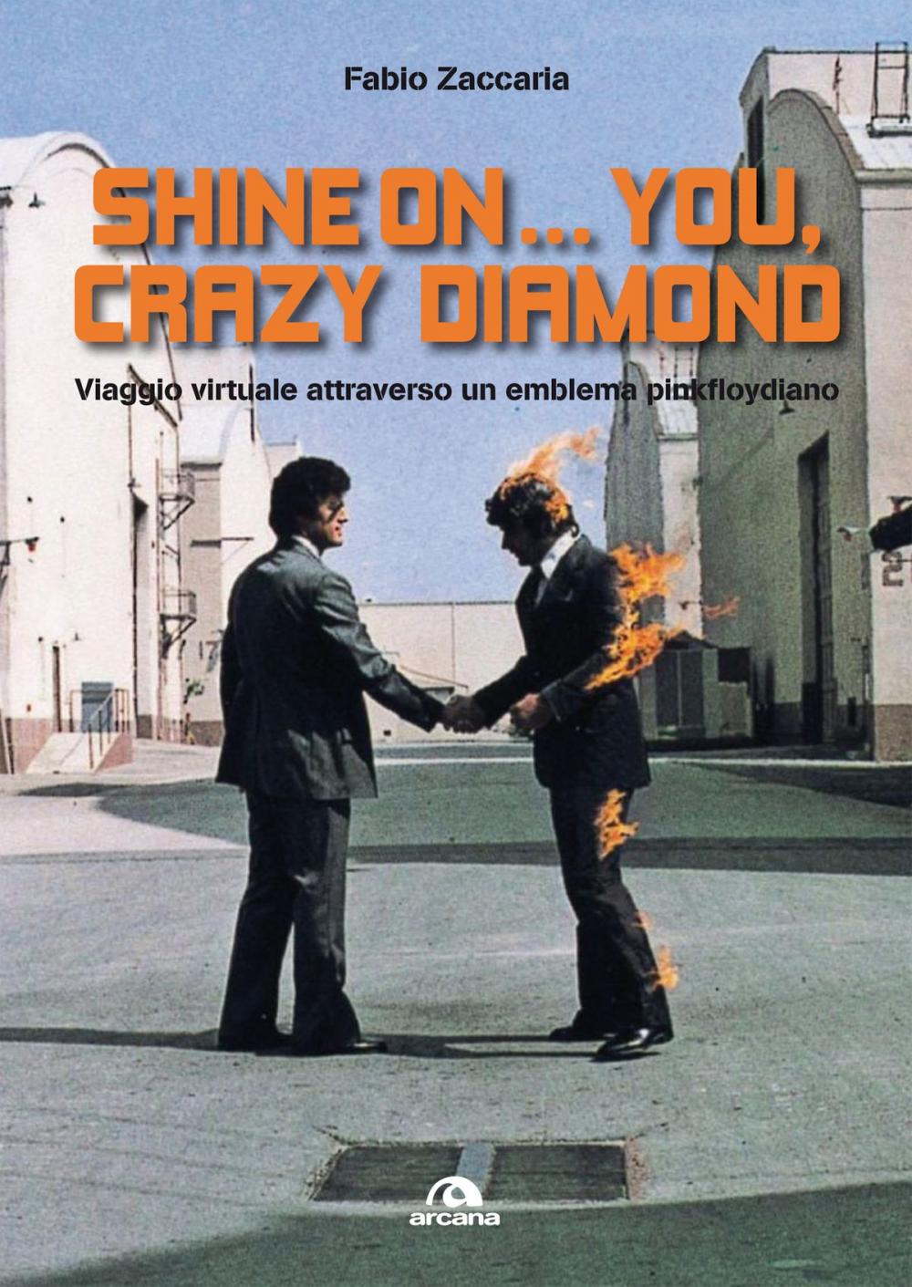 Big bigCover of Shine on…you, crazy diamond