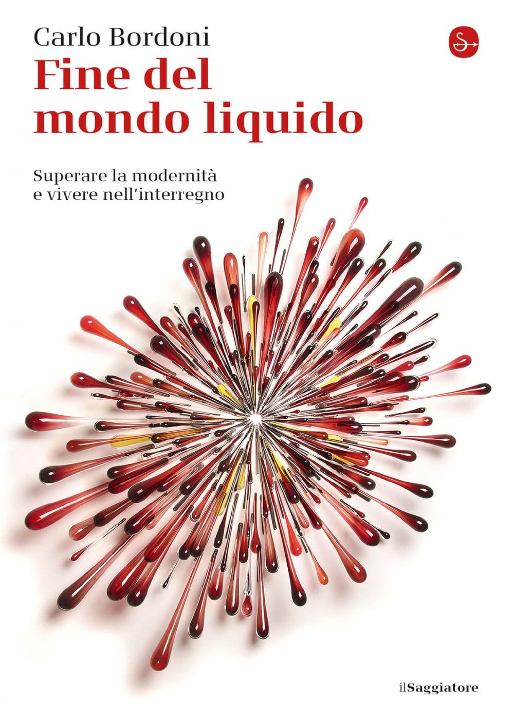 Big bigCover of Fine del mondo liquido