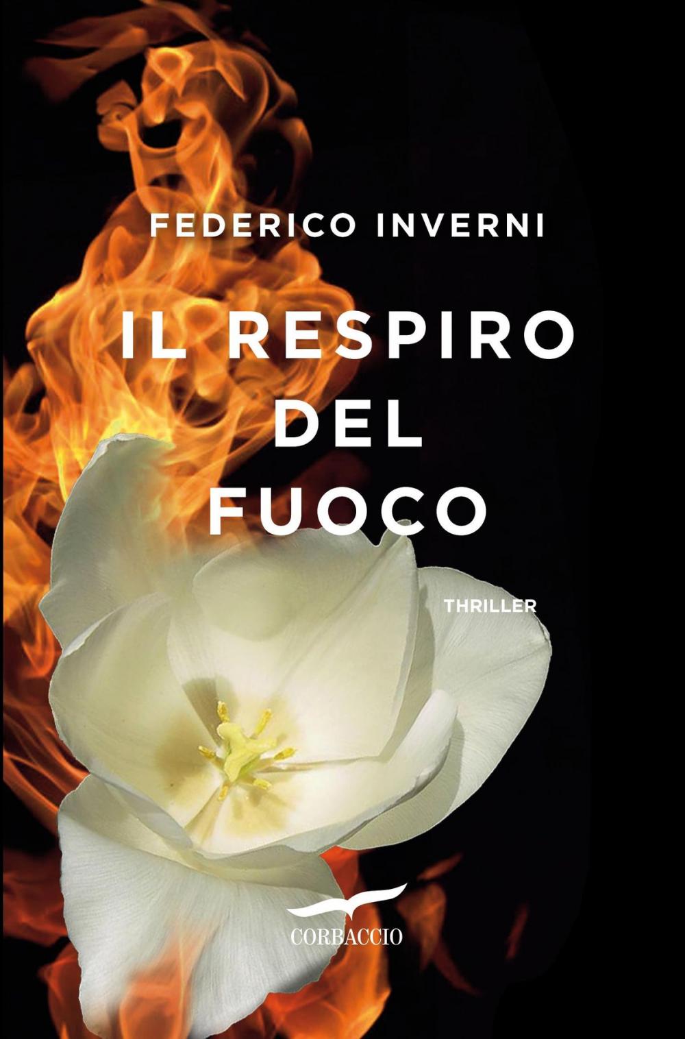 Big bigCover of Il respiro del fuoco