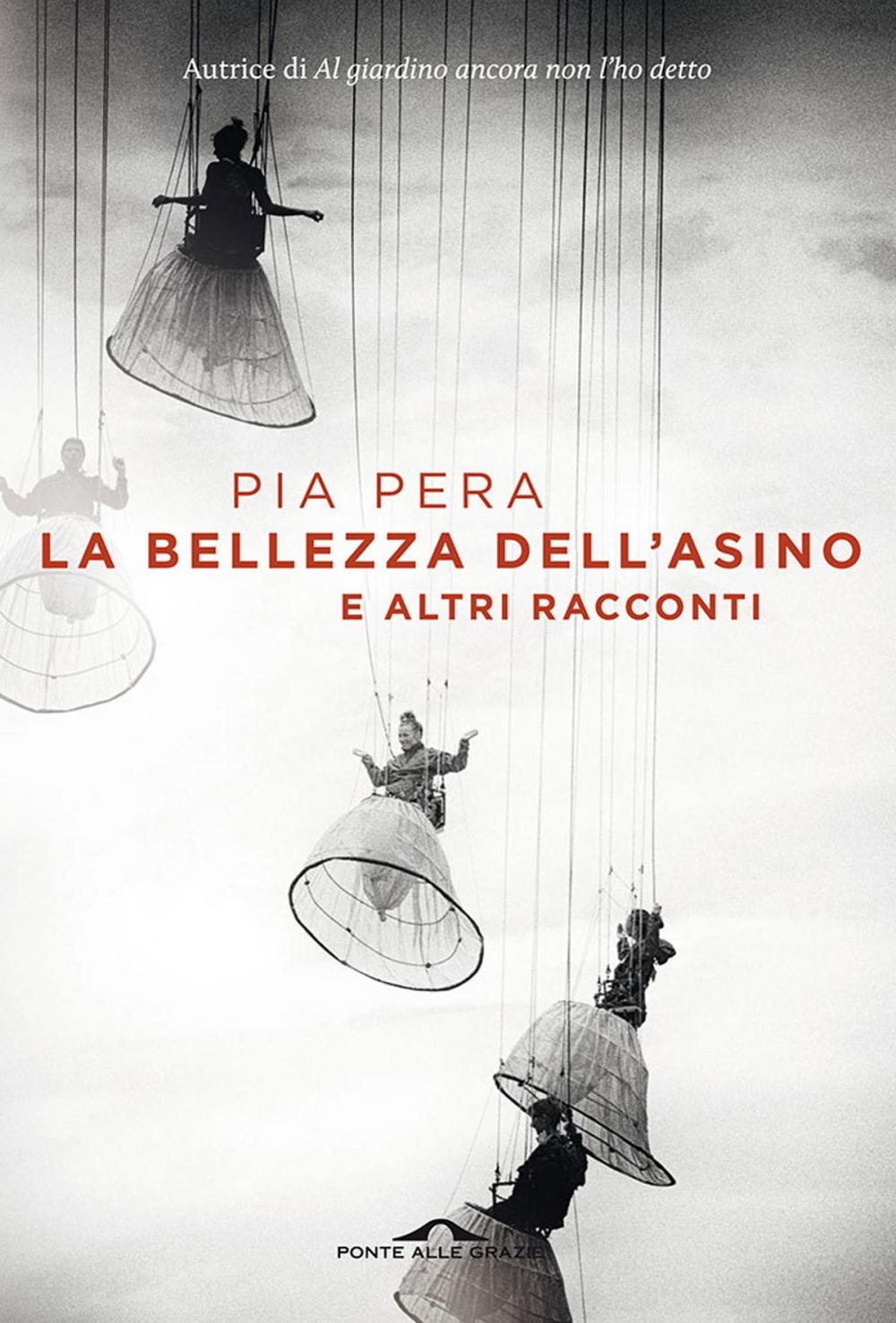 Big bigCover of La bellezza dell'asino