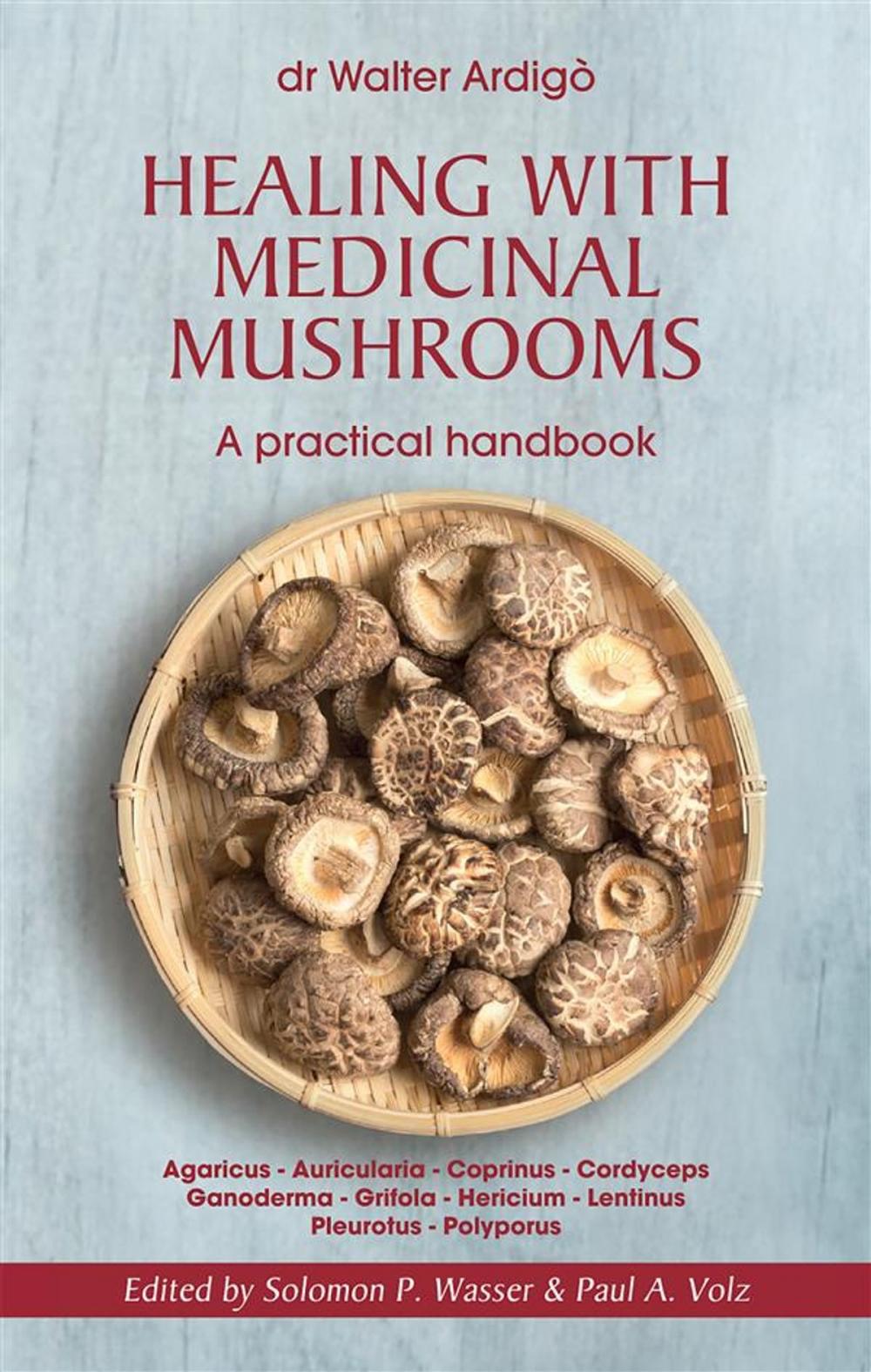 Big bigCover of Healing with Medicinal Mushrooms. A practical handbook