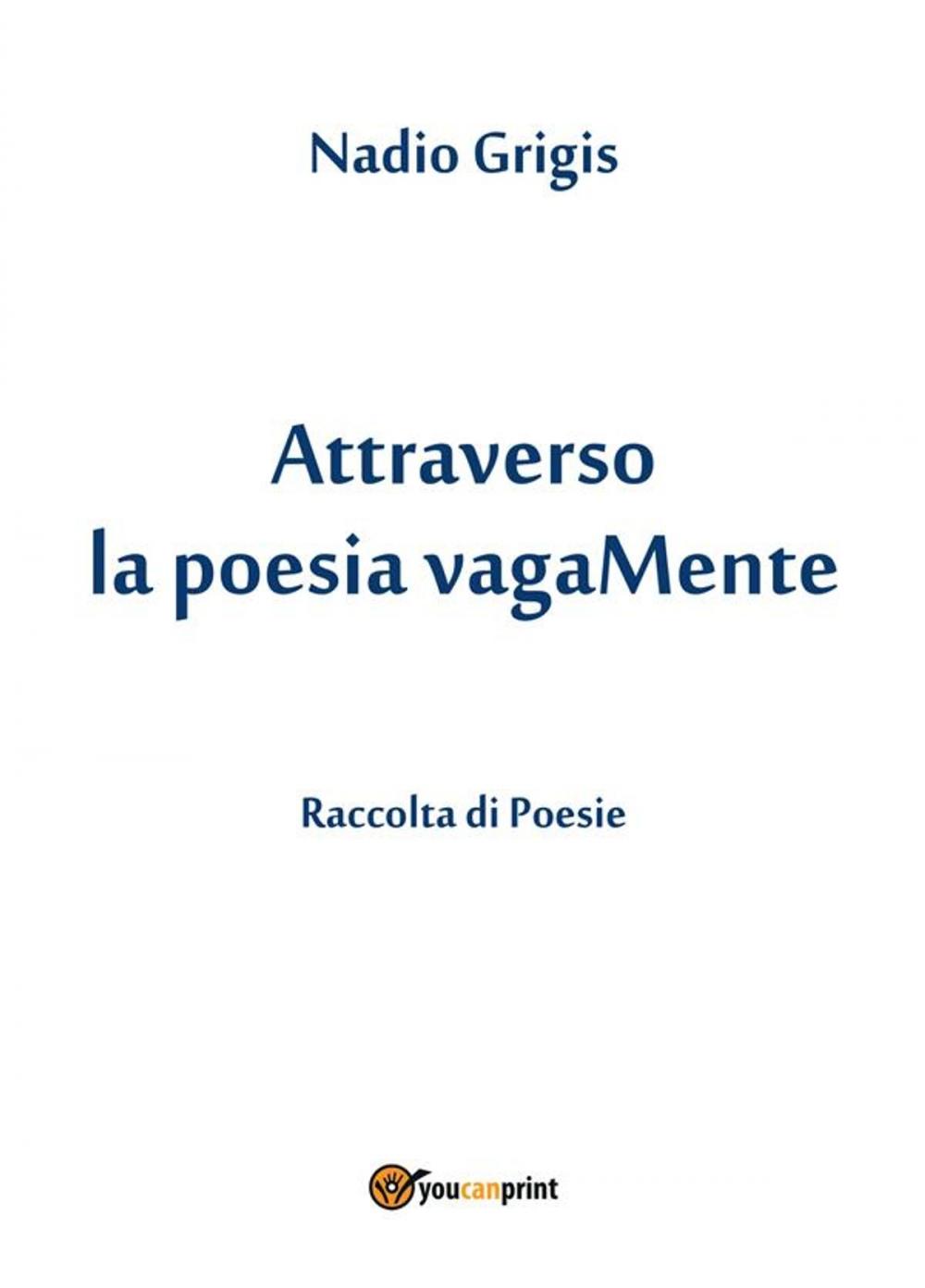 Big bigCover of Attraverso la poesia vagaMente