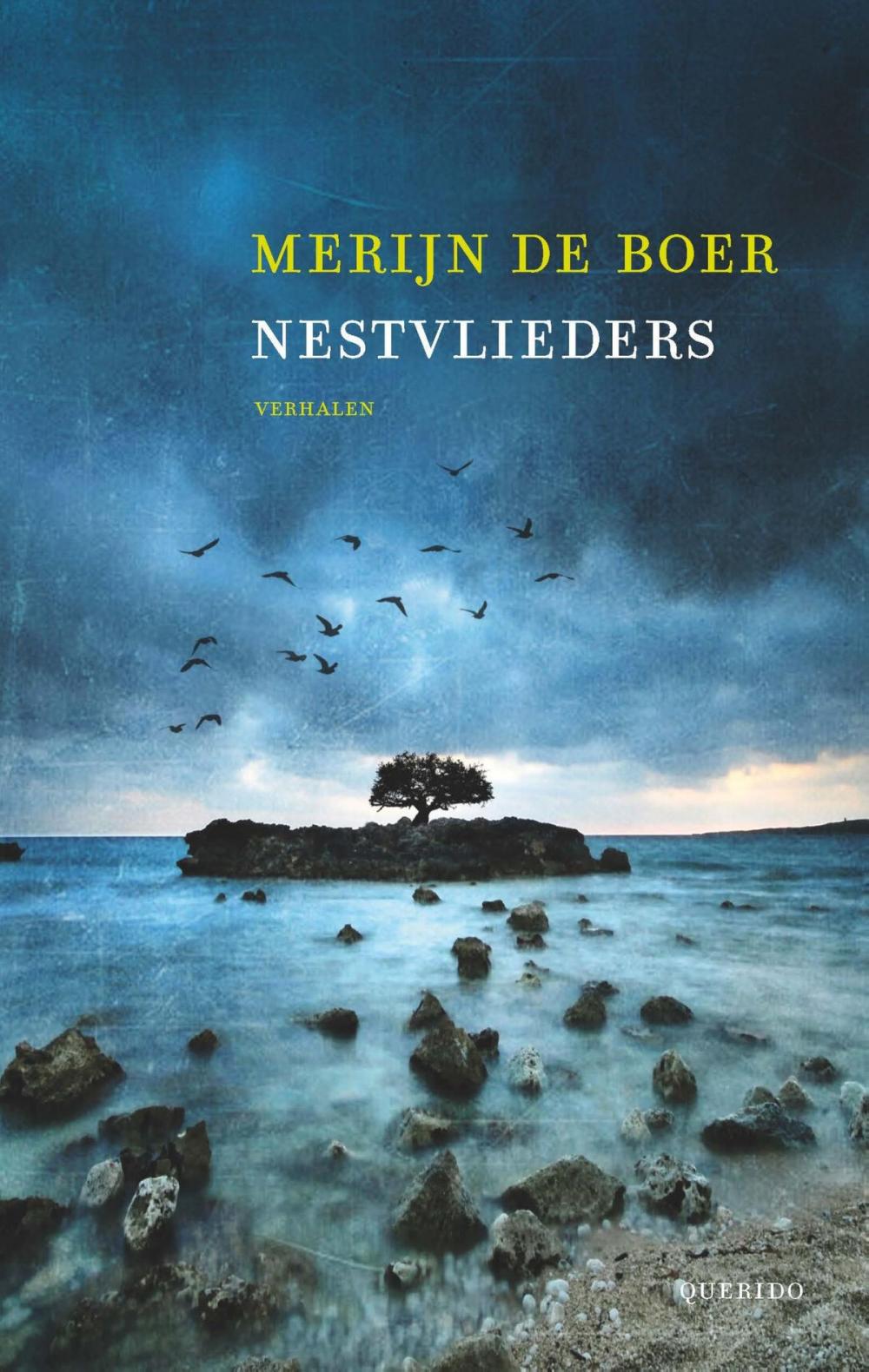 Big bigCover of Nestvlieders