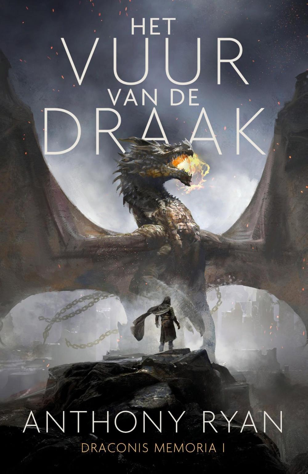 Big bigCover of Het Vuur van de Draak