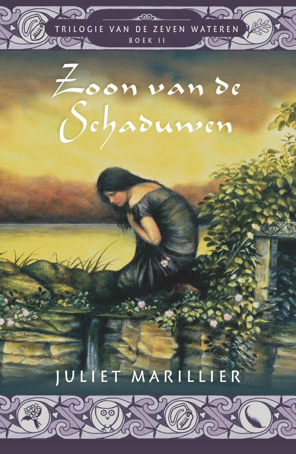 Big bigCover of Zoon van de schaduwen