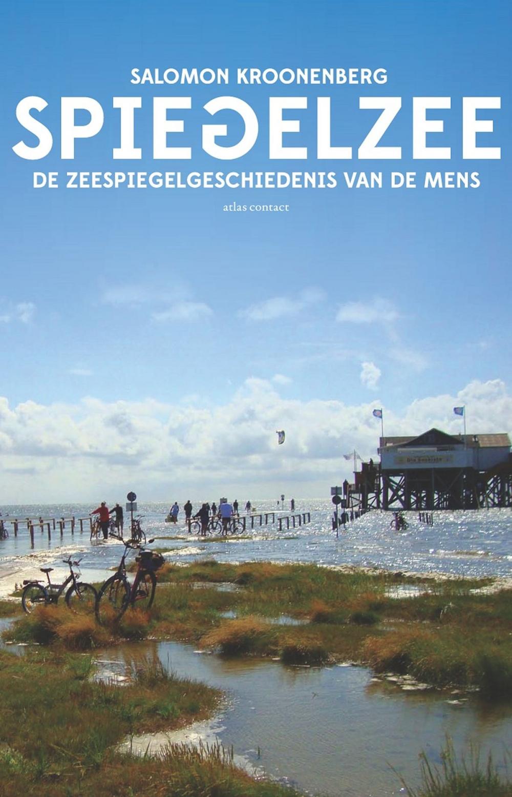 Big bigCover of Spiegelzee