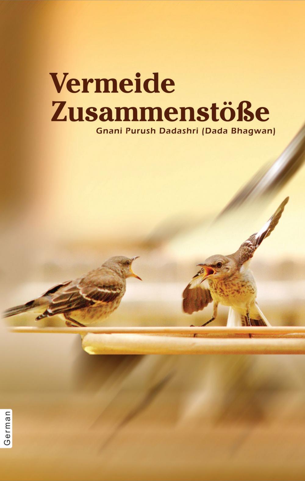 Big bigCover of Vermeide Zusammenstöße (German)