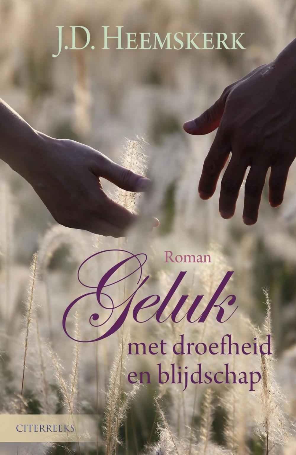 Big bigCover of Geluk met droefheid en blijdschap