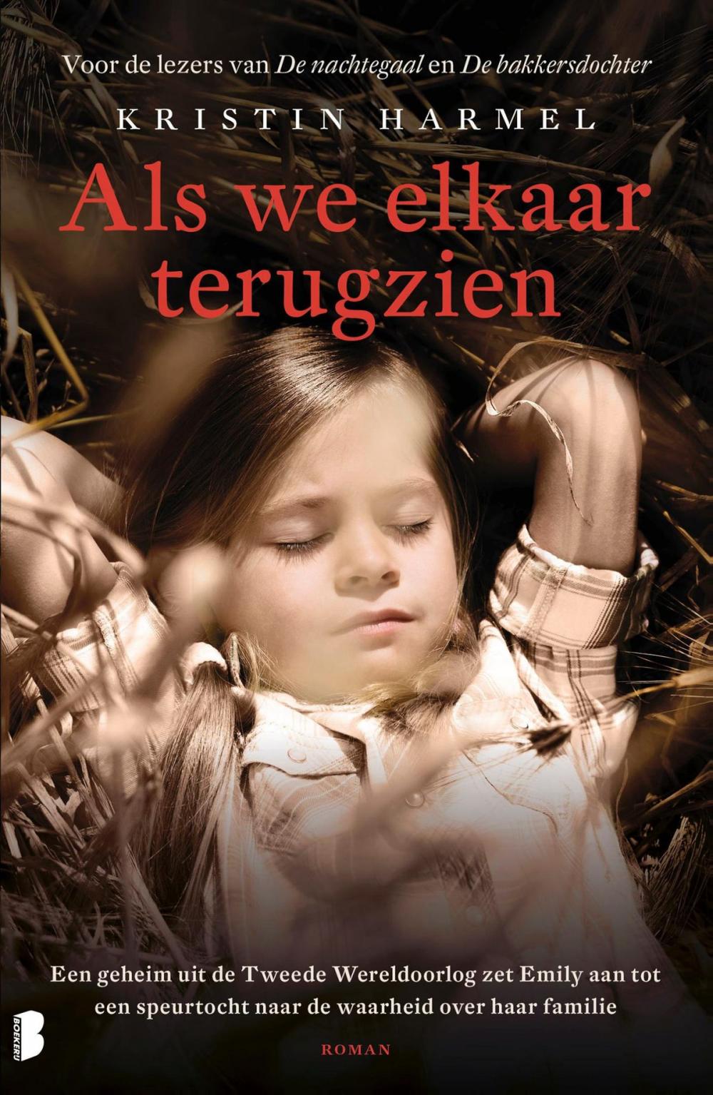 Big bigCover of Als we elkaar terugzien