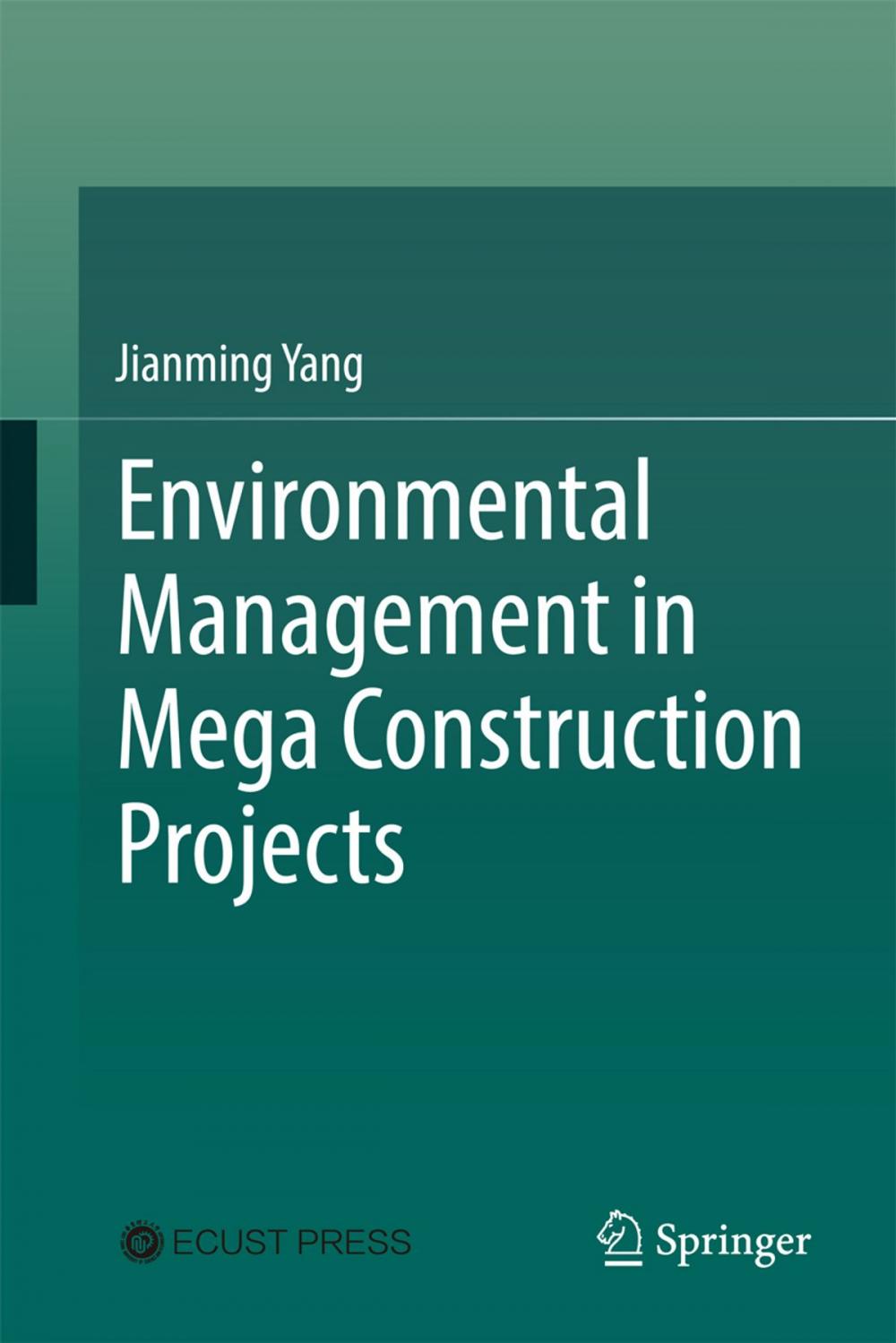 Big bigCover of Environmental Management in Mega Construction Projects