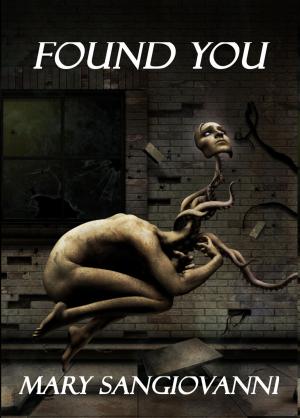 Cover of the book Found You by Blair M Thorne