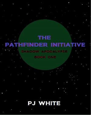 Cover of the book The Pathfinder Initiative by Traci Smith