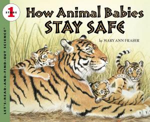 Book cover of How Animal Babies Stay Safe