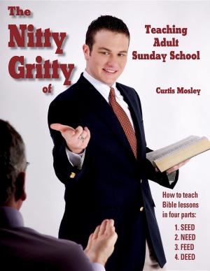 Cover of The Nitty Gritty of Teaching Adult Sunday School