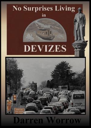 Cover of the book No Surprises Living in Devizes by Michael S. Copeland