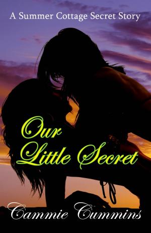 Cover of the book Our Little Secret by Allison Hampton