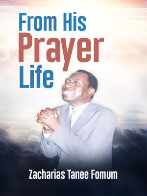 Cover of the book From His Prayer Life by Alvin Fruga