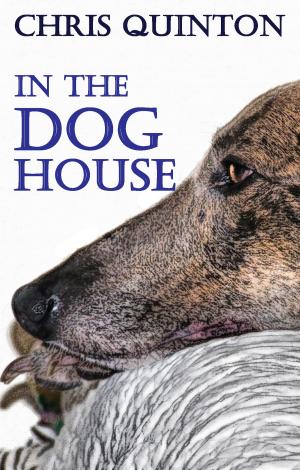Cover of the book In The Doghouse by Michael S. Patterson