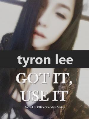 Cover of the book Got It Use It by Danni Anderson