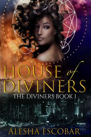 Cover of the book House of Diviners (The Diviners #1) by R J Theodore