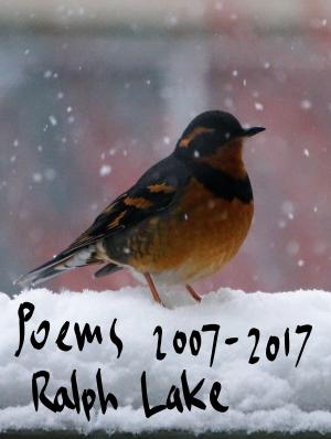 Cover of Poems 2007-2017