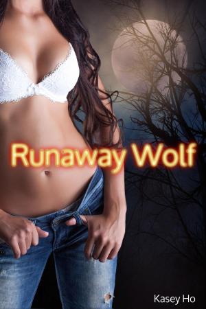 Cover of the book Runaway Wolf by Vanessa Cardui