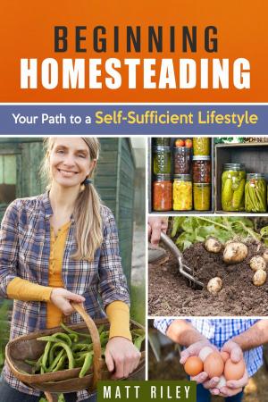 Cover of the book Beginning Homesteading: Your Path to a Self-Sufficient Lifestyle by Karen Newcomb