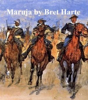 Cover of the book Maruja by Mary Roberts Rinehart
